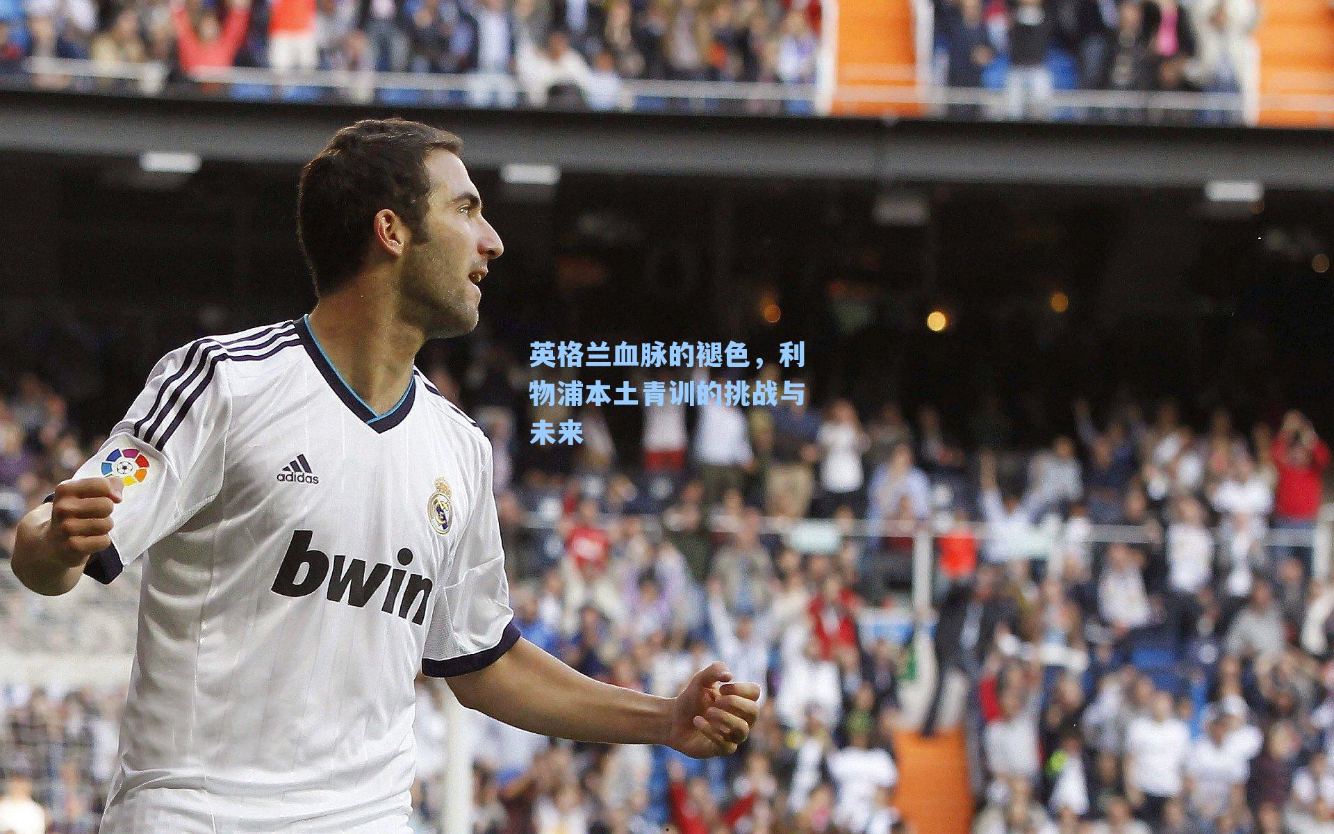 英格兰血脉的褪色，利物浦本土青训的挑战与未来