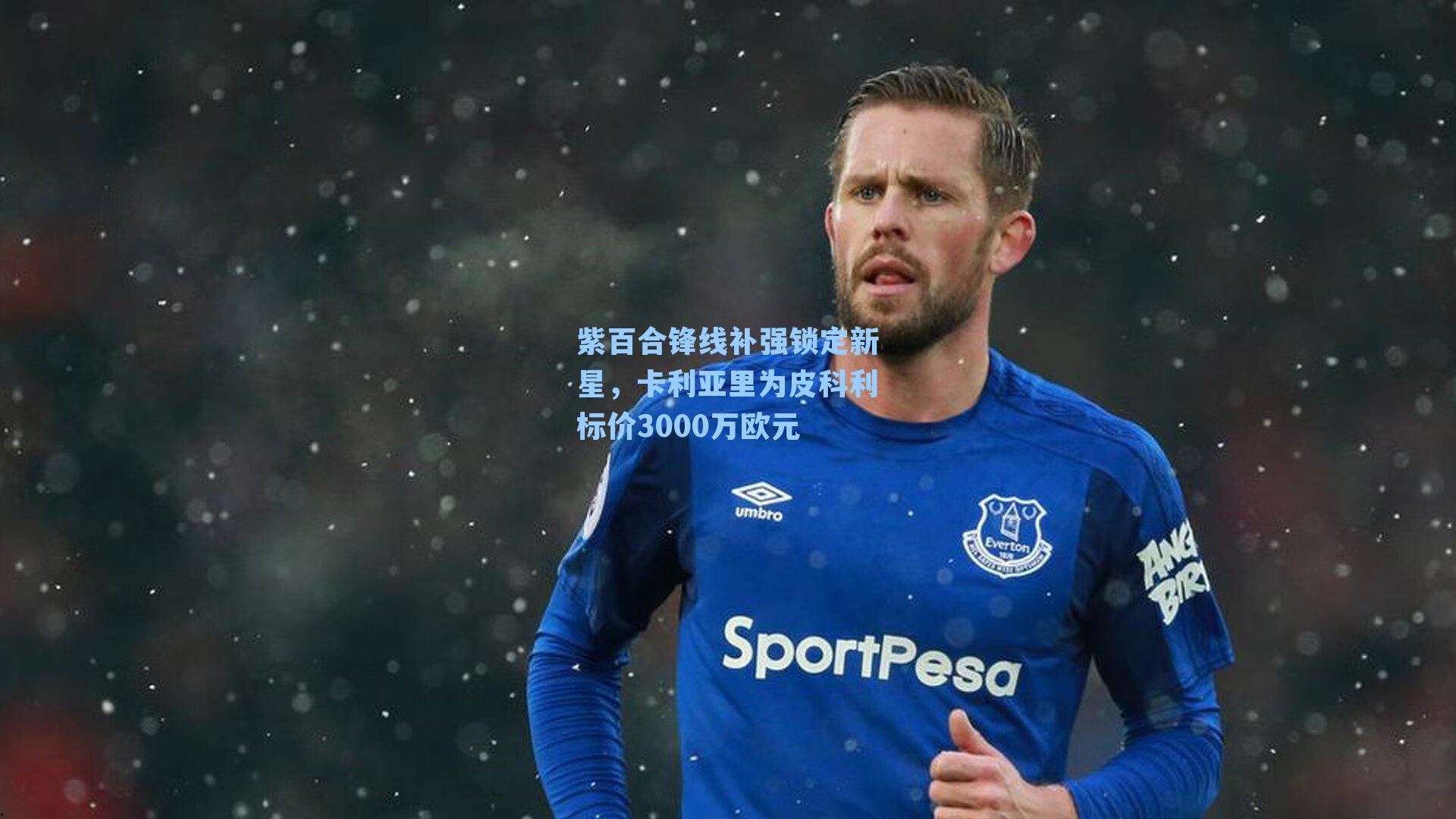 紫百合锋线补强锁定新星，卡利亚里为皮科利标价3000万欧元